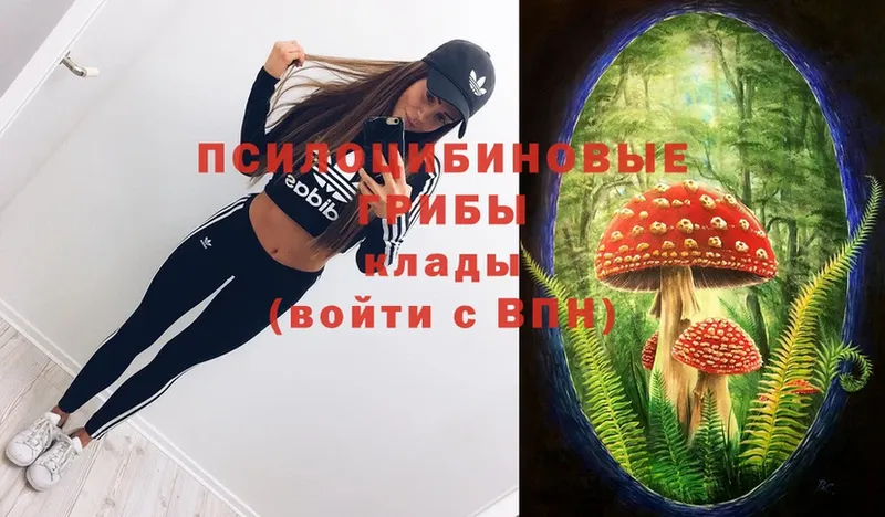 магазин продажи   Межгорье  Галлюциногенные грибы Cubensis 